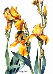 Voir le détail de cette oeuvre: Grand Iris jaune