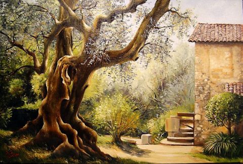 Olivier du Domaine Renoir Cagnes sur Mer